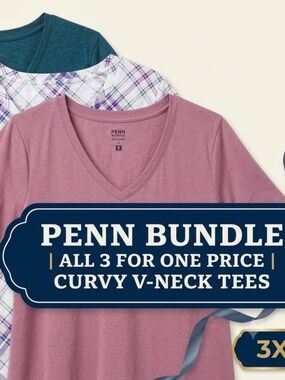 3 Pack Curvy Fit V-Neck PENN Tees Teal Plaid Pink Floral 3X⁠